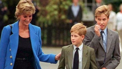 Les princes William et Harry disent enfin comment était Lady Di en tant que mère