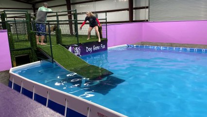 Dog Jumps in After Handler Falls into Pool