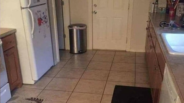 Un chien se cache dans cette cuisine... mais impossible de deviner où !
