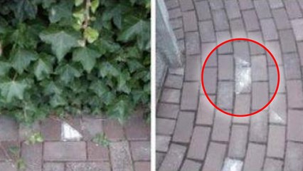 De mystérieux pavés blancs apparaissent devant les maisons et sèment la panique