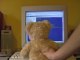 Grumly. L'ours informaticien
