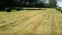 Un cycliste aperçoit le fantôme d'un chien dans un cimetière