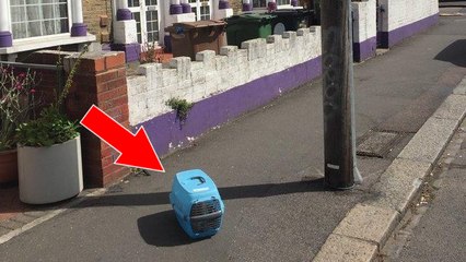 Un homme découvre un chat abandonné dans la rue avec toutes ses affaires