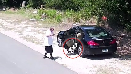 Texas : ce qu'il ose faire à son chien provoque un énorme scandale sur internet
