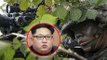 Kim Jong-Un : une unité d'assassins formés pour tuer le dictateur de la Corée du Nord