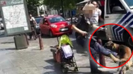 La vidéo qui fait polémique : l'acte choquant d'une policière pour calmer son chien
