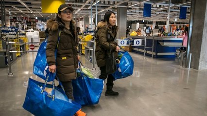IKEA : l'emblématique sac Frakta pourrait bien disparaître. Voici son remplaçant !