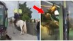 Montpellier : un homme essaie de prendre le tramway avec son cheval