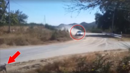 Un pilote stoppe sa course en plein rallye pour sauver la vie d'un chien sur sa trajectoire