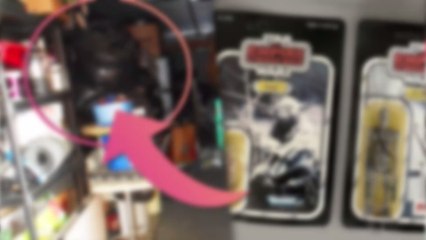 Star Wars : des jouets trouvés dans des poubelles estimés à 450.000 euros