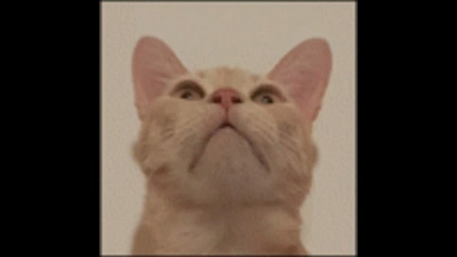 Monster Hunter : Une scène va être supprimée après une polémique raciste en Chine