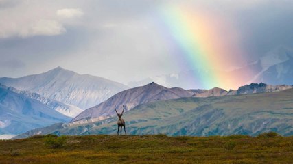 Alaska (USA) : chaque année, l'Etat vers une part de ses richesses pétrolières aux citoyens