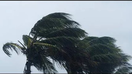 Cyclone à La Réunion : Les marins du pétrolier mauricien échoué au large de l’île sauvés