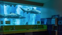 OdySea : l'aquarium de l'Arizona a reçu la récompense des meilleurs toilettes des Etats-Unis