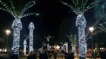 Civitanova Marche (Italie) : des palmiers illuminés pour Noël qui font rire tous les internautes