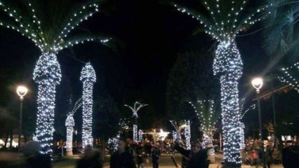 Civitanova Marche (Italie) : des palmiers illuminés pour Noël qui font rire tous les internautes