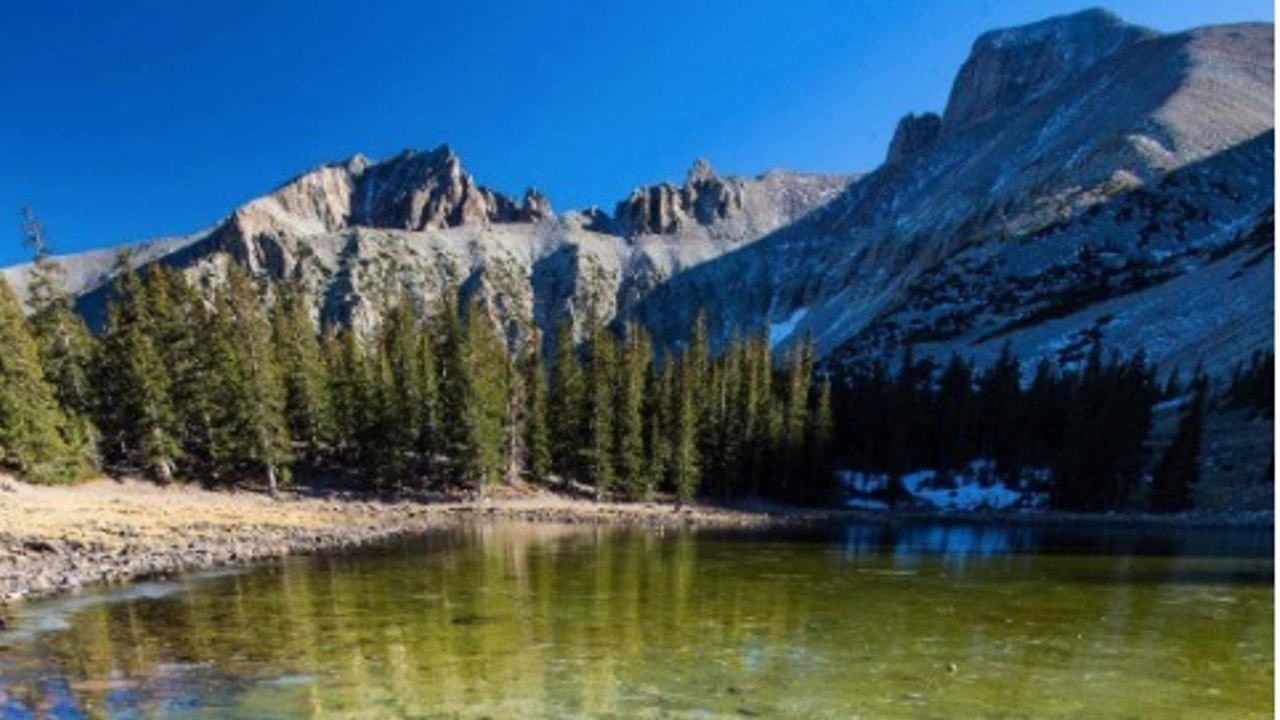 Parc National du Grand Bassin (Nevada) : voici pourquoi ce parc national est sous-estimé