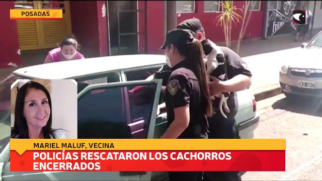 Policías rescataron los cachorros encerrados