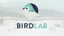 BirdLab, l’appli ludique et craquante pour compter les oiseaux du jardin