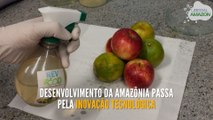 Desenvolvimento da Amazônia passa pela inovação tecnológica