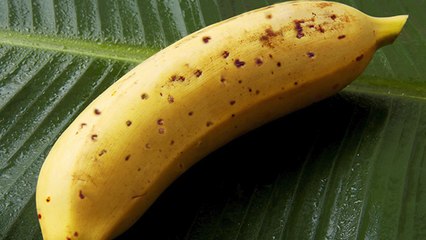Voici la banane Mongee, qui se mange avec la peau !