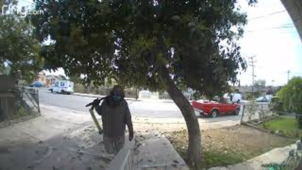 Potential Porch Pirate Caught on Doorbell Cam