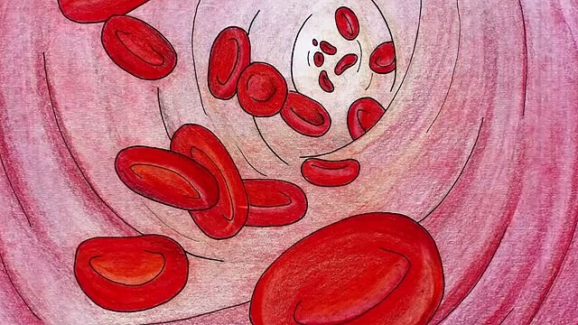 Ist es Genuß oder schon Sucht Was passiert durch Nikotin im Gehirn und können Schäden entstehen