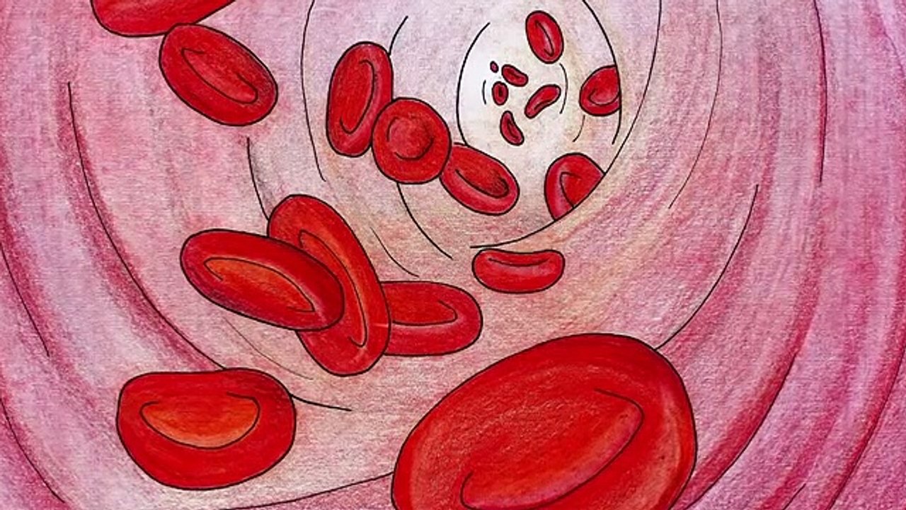 Ist es Genuß oder schon Sucht Was passiert durch Nikotin im Gehirn und können Schäden entstehen