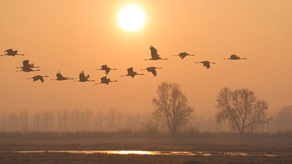 Dans quelques jours, on vous conseille vivement de lever les yeux au ciel !