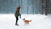 Vacances : 3 choses à savoir si vous emmenez votre chien aux sports d’hiver !