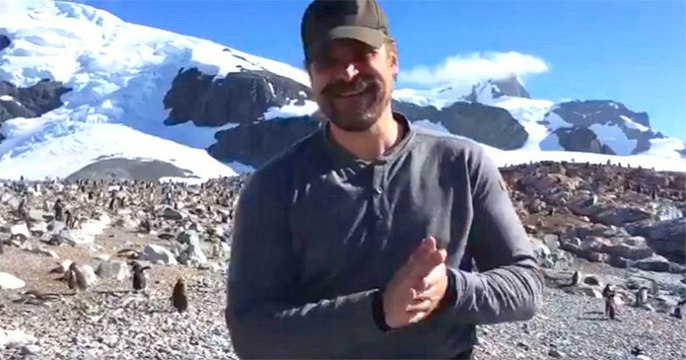 Stranger Things : David Harbour danse avec des manchots en Antarctique pour honorer son pari perdu avec Greenpeace