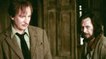 Harry Potter : cette théorie sur Lupin et Sirius va vous faire pleurer