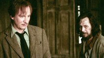 Harry Potter : cette théorie sur Lupin et Sirius va vous faire pleurer