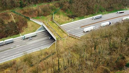 En Dordogne, on construit un « éco-pont » pour que les animaux traversent l’autoroute !