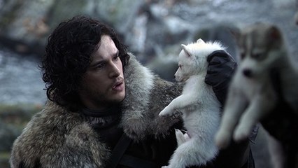 À cause de Game of Thrones, ces races de chiens sont abandonnées en masse !