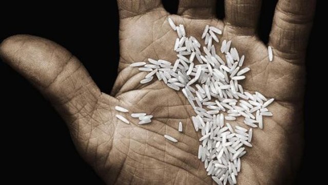 LOUDER - La famine, un fléau inévitable ? Sur Terre, on croule sous la nourriture