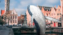 Bruges : une baleine en plastique géante pour sensibiliser à la pollution des océans