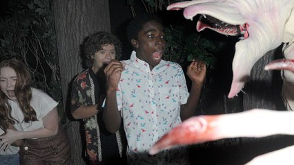 Stranger Things : les acteurs tétanisés dans le parc d'attraction dédié à la série
