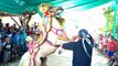 Kuda Silat Di Hajatan #Kudarenggong#kudasilat#The art of dance horses and martial arts