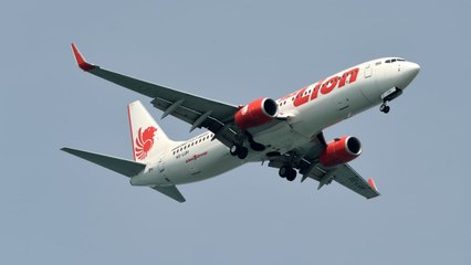 Indonésie : Crash d'un Boeing avec 188 personnes à bord