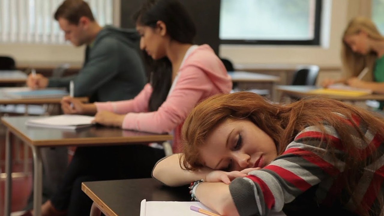 Astrologie : voici votre profil d'étudiant selon votre signe du zodiaque