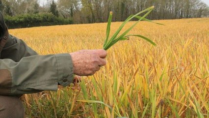 Atteint d'un cancer, ce Français veut se battre contre un très grand groupe