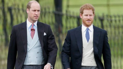 Le prince Harry aurait-il pris ses distances avec son frère à cause de Meghan Markle ?