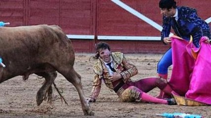 VIDEO - Espagne : un célèbre matador se fait scalper par un taureau en pleine corrida