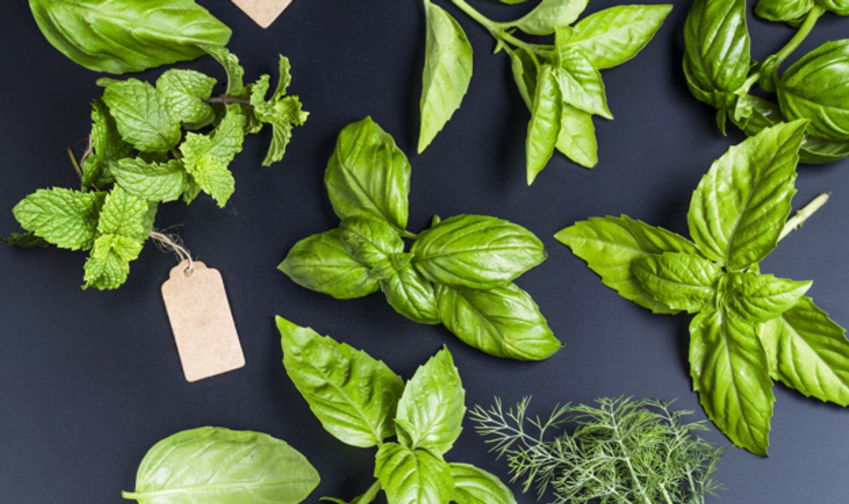 Comment faire pousser ses herbes aromatiques chez-soi ?