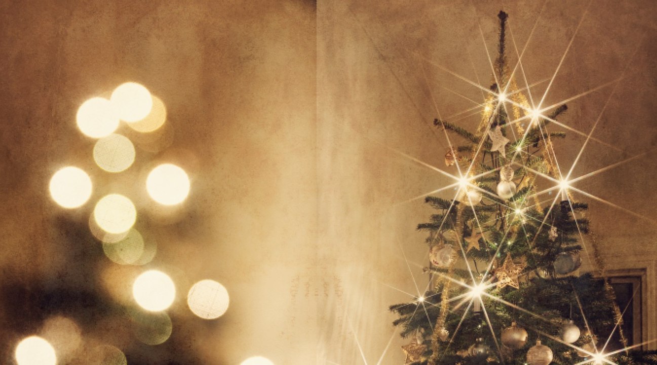 Noël : on vous donne quelques astuces pour donner une seconde vie à votre sapin !