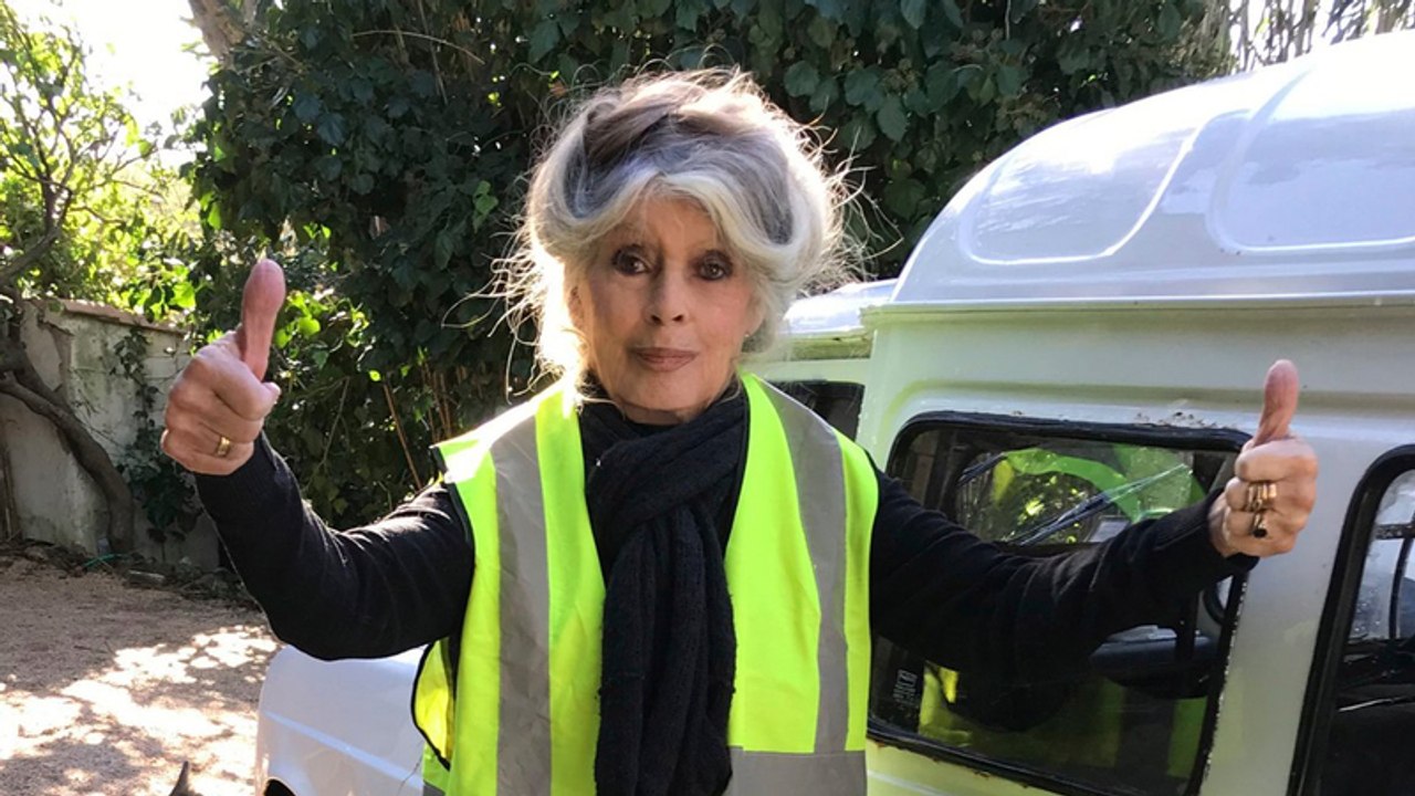 "Macron tue les petits gens" Brigitte Bardot attaque violemment Emmanuel Macron... et sa femme