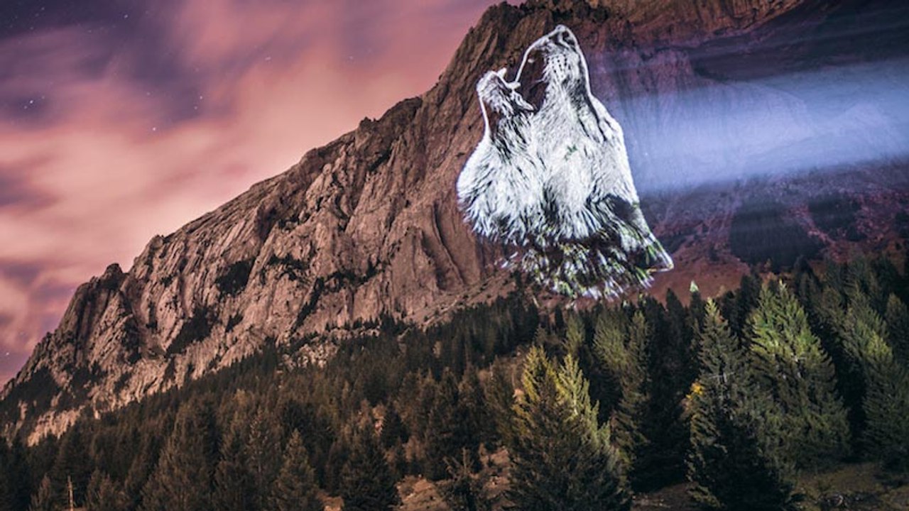 Dans les Alpes, des portraits lumineux d’animau...