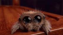 Arachnophobie : des scientifiques ont trouvé l'origine de cette peur qui touche (presque) tout le monde