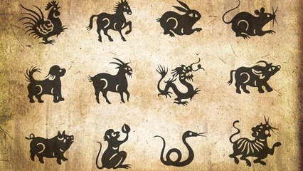 Votre horoscope chinois 2019, l'année du cochon !